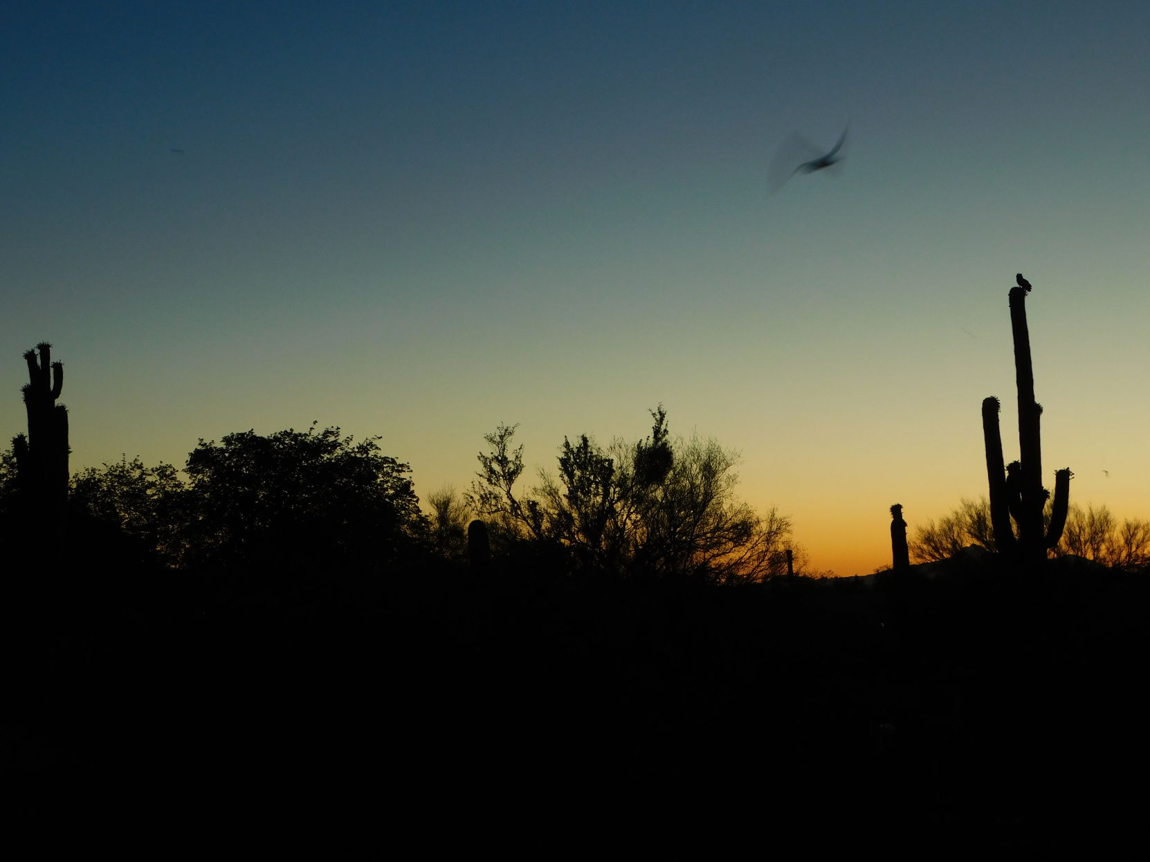 Sunset in Picure Rocks